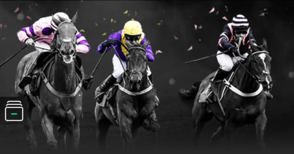 篮球,新西联,加油,博天堂,彩票平台,安全投注,在线购彩,彩票预测