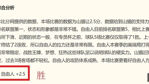 篮球爱好者，安全投注，的绝杀秘籍每日必练